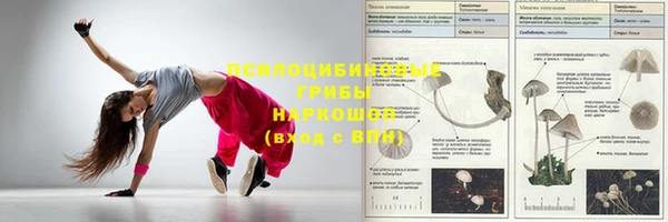 тгк Зеленокумск