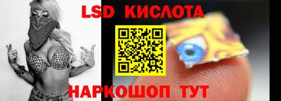 прущие грибы Краснознаменск