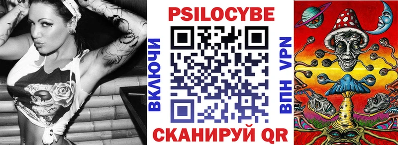 Купить закладки  Кимовск  Псилоцибиновые грибы Psilocybe 