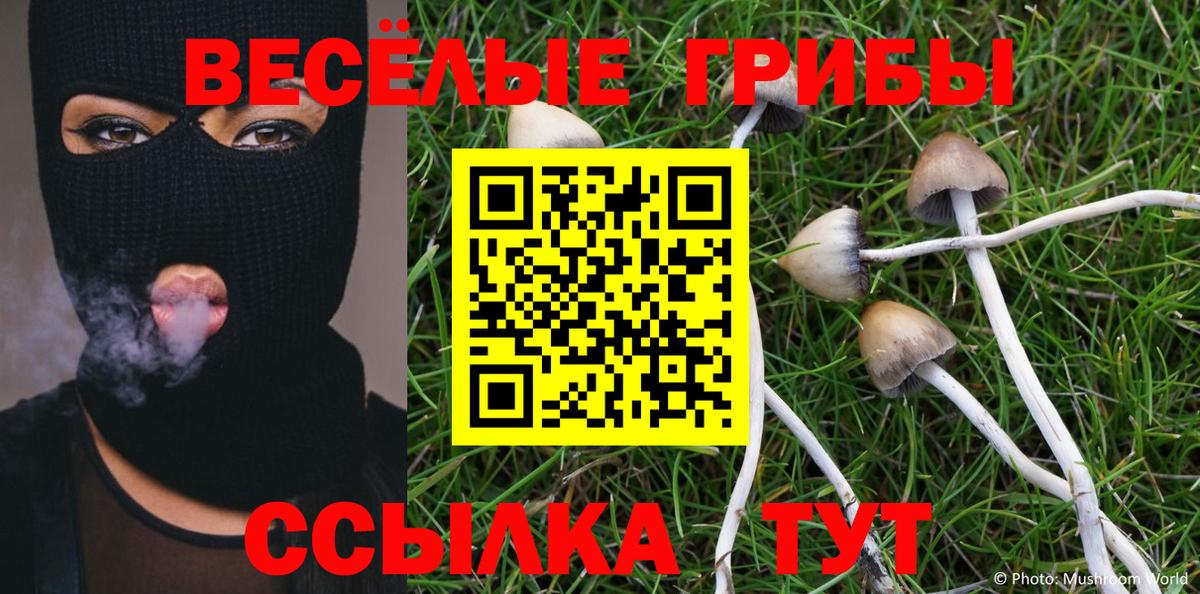 Галлюциногенные грибы MAGIC MUSHROOMS Кимовск