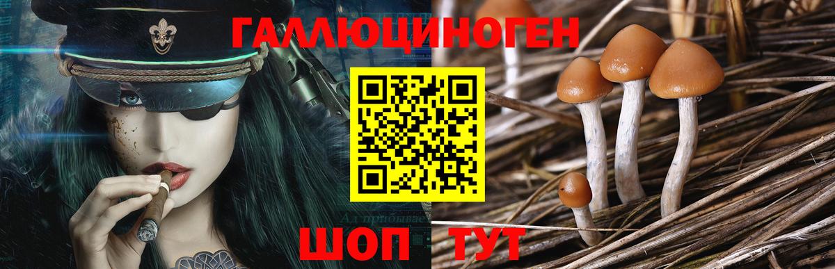 Галлюциногенные грибы ЛСД  что такое наркотик  Кимовск  Псилоцибиновые грибы Psilocybe 