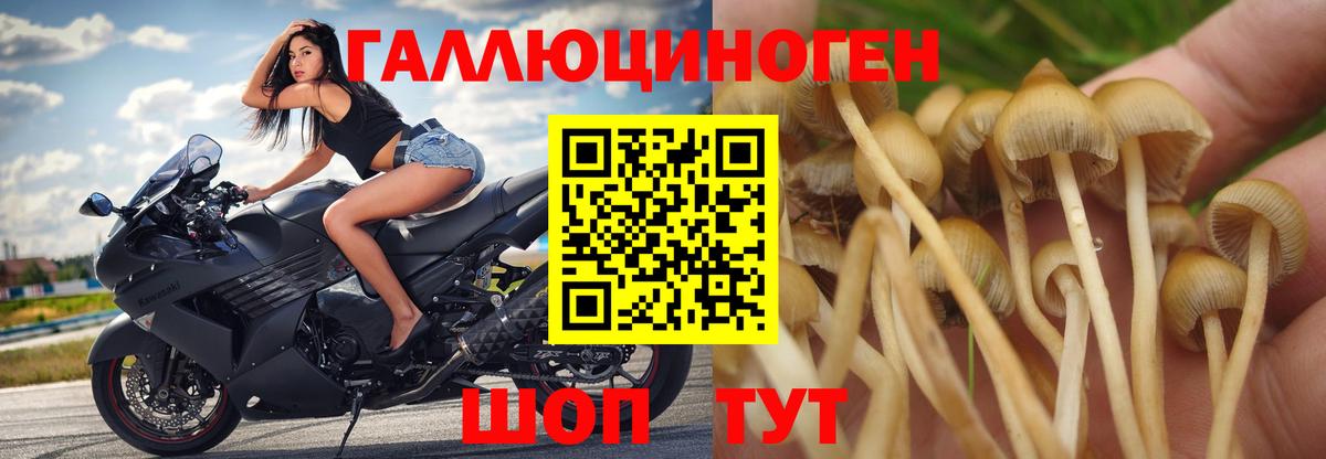 Псилоцибиновые грибы MAGIC MUSHROOMS  Вход с VPN  Галлюциногенные грибы MAGIC MUSHROOMS  Кимовск 
