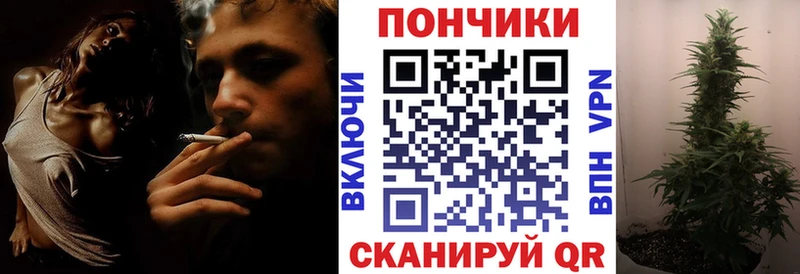Купить где  Кимовск  Канабис сатива 